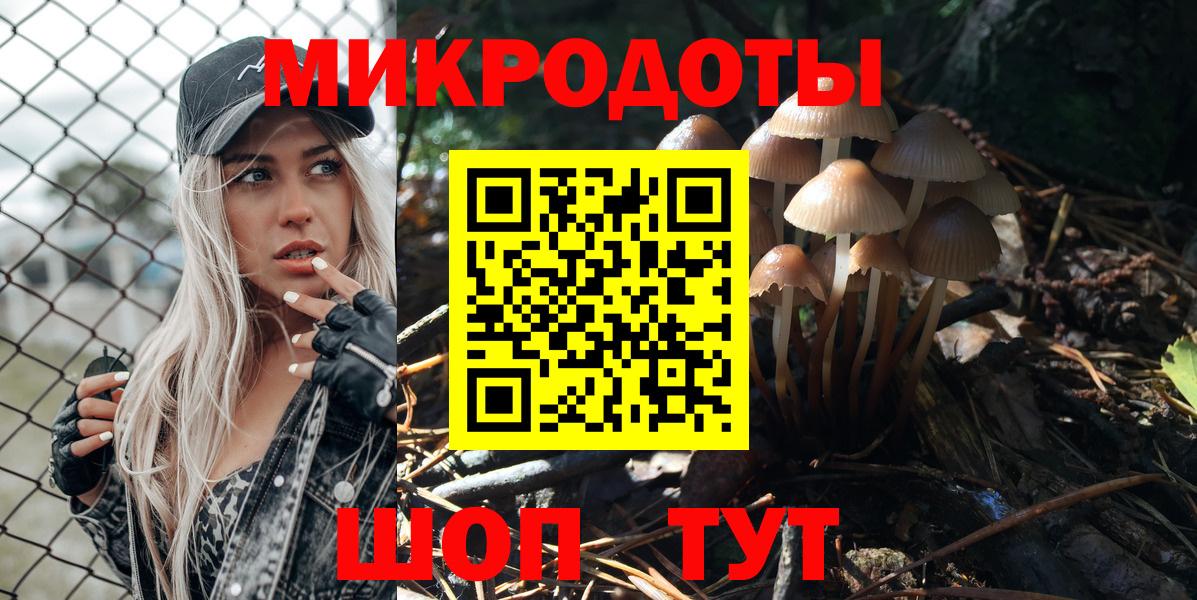 Галлюциногенные грибы Psilocybine cubensis Алушта